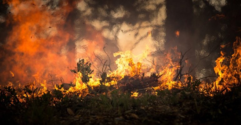 Monterotondo. Rischio incendi: prevenzione e controllo del territorio con aerofotogrammetria