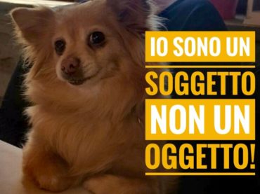 Manifestazione nazionale “Soggetti non oggetti” organizzato dal Comitato Tutela Diritti Animali